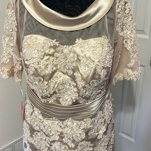 Champagne colored special occasion dress